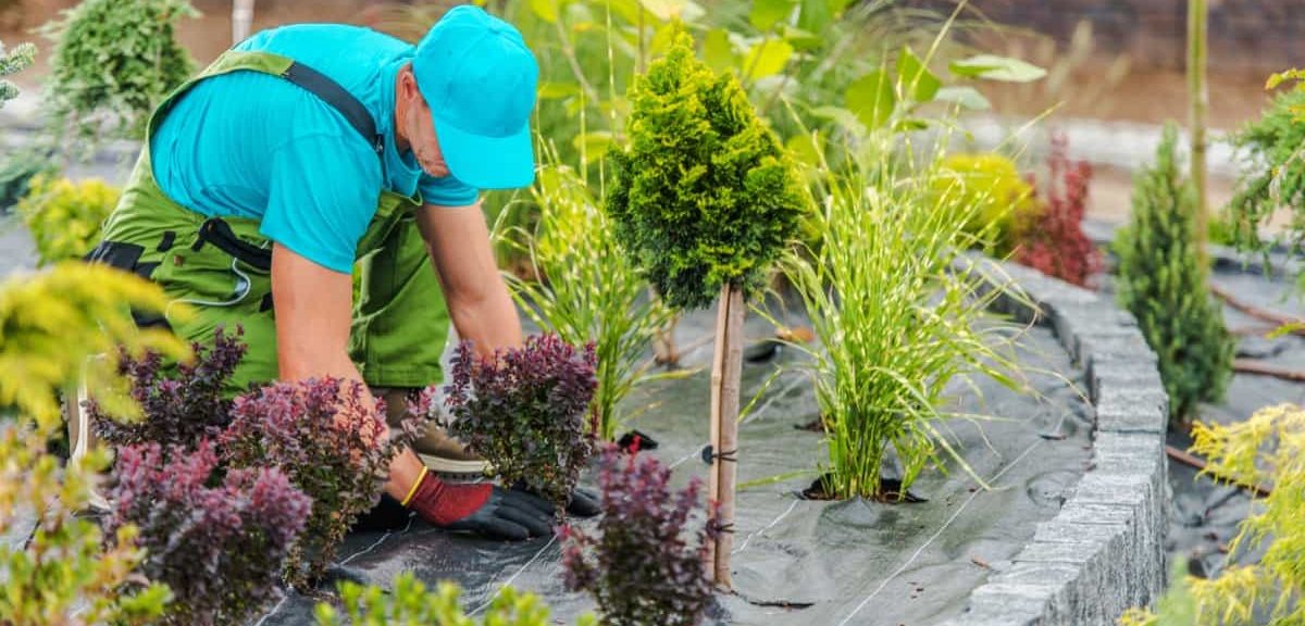 Tips for Hiring Professional Landscapers in Victoria, BC