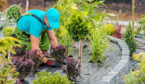 Tips for Hiring Professional Landscapers in Victoria, BC